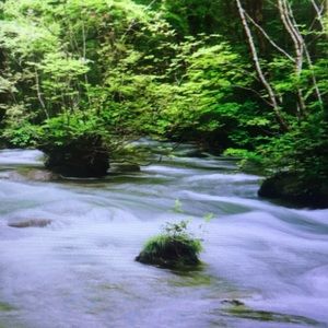 Meet your Posher, Bailey